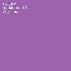 #9C64B0 - Wisteria Color Image