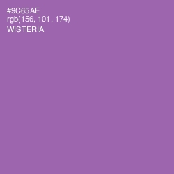 #9C65AE - Wisteria Color Image