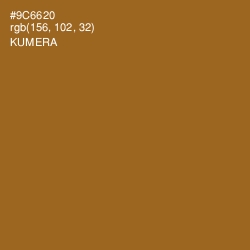 #9C6620 - Kumera Color Image