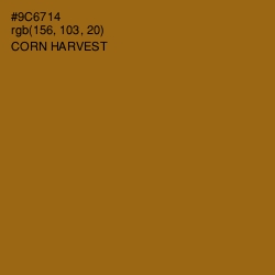 #9C6714 - Corn Harvest Color Image