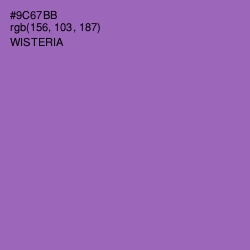 #9C67BB - Wisteria Color Image