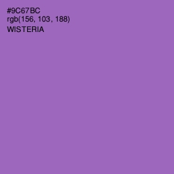 #9C67BC - Wisteria Color Image