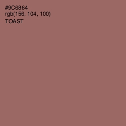 #9C6864 - Toast Color Image