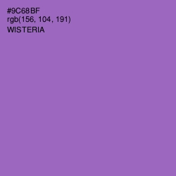 #9C68BF - Wisteria Color Image