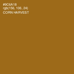 #9C6A18 - Corn Harvest Color Image