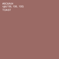 #9C6A64 - Toast Color Image