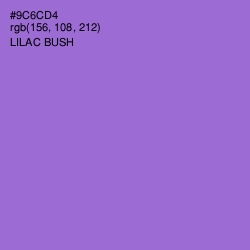 #9C6CD4 - Lilac Bush Color Image