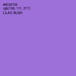 #9C6FD9 - Lilac Bush Color Image
