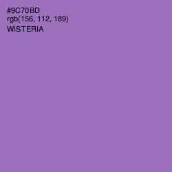 #9C70BD - Wisteria Color Image