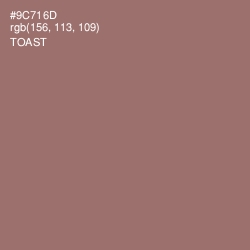 #9C716D - Toast Color Image