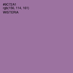 #9C72A1 - Wisteria Color Image