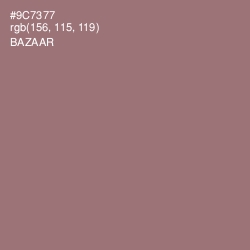 #9C7377 - Bazaar Color Image