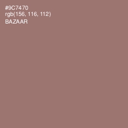 #9C7470 - Bazaar Color Image