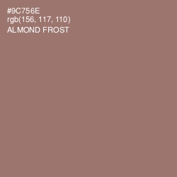 #9C756E - Almond Frost Color Image