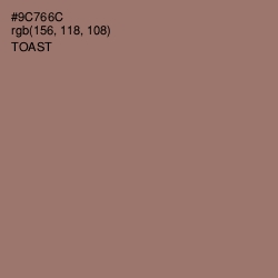 #9C766C - Toast Color Image