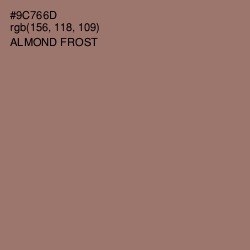 #9C766D - Almond Frost Color Image