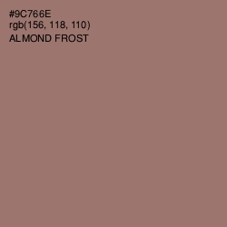 #9C766E - Almond Frost Color Image