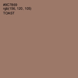 #9C7869 - Toast Color Image