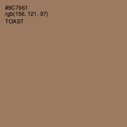 #9C7961 - Toast Color Image