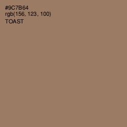 #9C7B64 - Toast Color Image