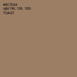 #9C7E64 - Toast Color Image