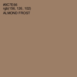 #9C7E66 - Almond Frost Color Image