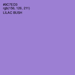 #9C7ED3 - Lilac Bush Color Image