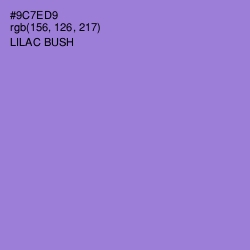#9C7ED9 - Lilac Bush Color Image