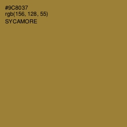 #9C8037 - Sycamore Color Image