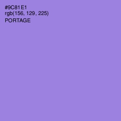 #9C81E1 - Portage Color Image