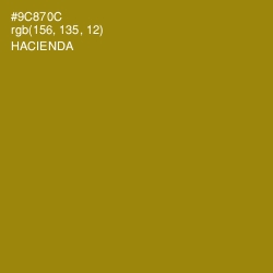 #9C870C - Hacienda Color Image