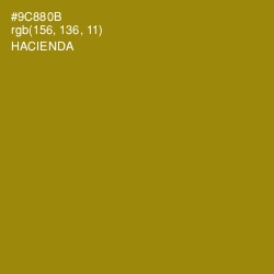 #9C880B - Hacienda Color Image