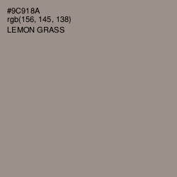 #9C918A - Lemon Grass Color Image