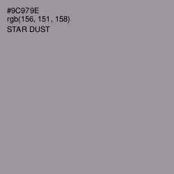 #9C979E - Star Dust Color Image