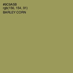 #9C9A5B - Barley Corn Color Image