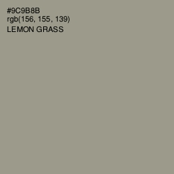 #9C9B8B - Lemon Grass Color Image