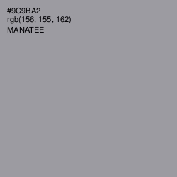 #9C9BA2 - Manatee Color Image