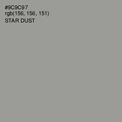 #9C9C97 - Star Dust Color Image