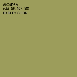 #9C9D5A - Barley Corn Color Image