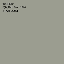 #9C9D91 - Star Dust Color Image
