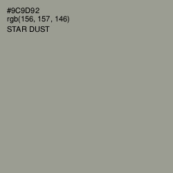 #9C9D92 - Star Dust Color Image