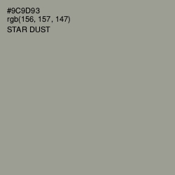 #9C9D93 - Star Dust Color Image