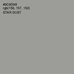 #9C9D98 - Star Dust Color Image