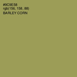 #9C9E58 - Barley Corn Color Image