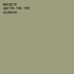 #9C9E7E - Gurkha Color Image