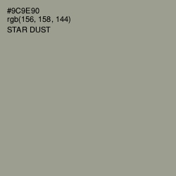 #9C9E90 - Star Dust Color Image