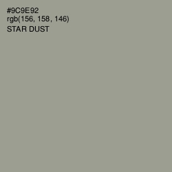 #9C9E92 - Star Dust Color Image