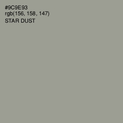 #9C9E93 - Star Dust Color Image