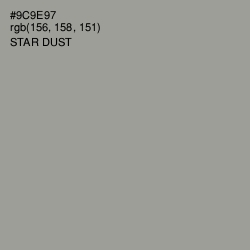 #9C9E97 - Star Dust Color Image