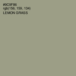 #9C9F86 - Lemon Grass Color Image